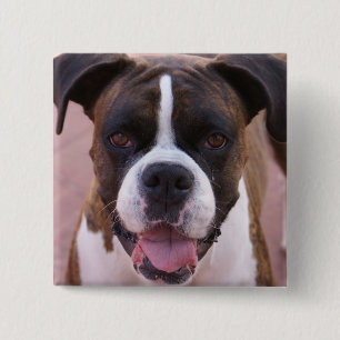 Boxer Pup Square Pin