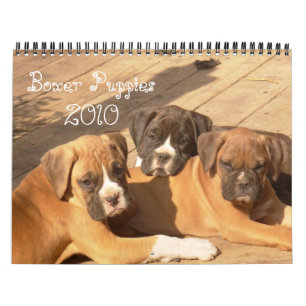 Boxer Puppies 2010 Calendar