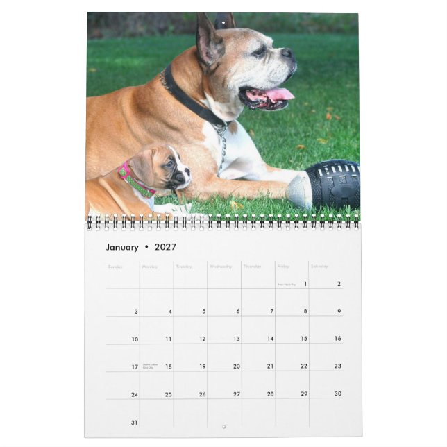 Boxer Puppies 2015 Calendar (Jan 2027)