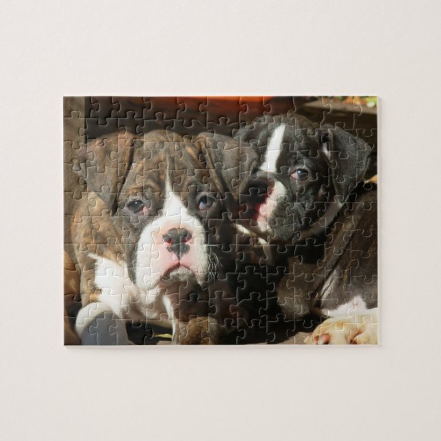 Boxer puppies 8x10 Photo Puzzle with Tin (Horizontal)