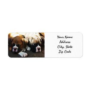 Boxer Puppies Address Labels