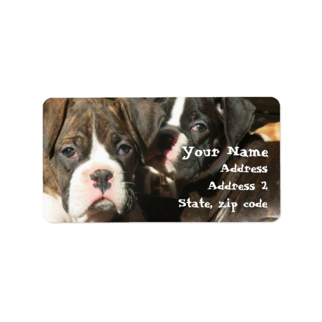 Boxer puppies Address Labels (Front)