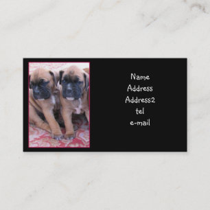 Boxer puppies business card