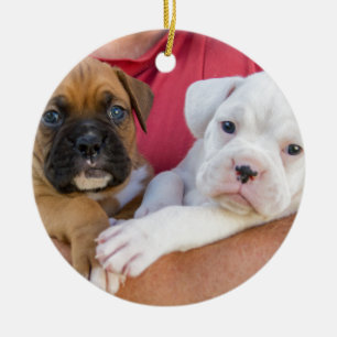 Boxer Puppies Ceramic Tree Decoration