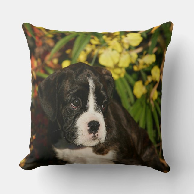Boxer Puppies Cushion (Front)