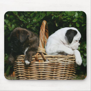 Boxer Puppies in Basket Mouse Mat