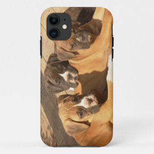 Boxer puppies iPhone 5 Barely There Universal Case