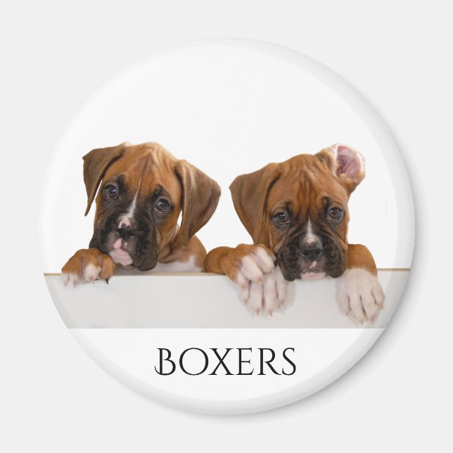 Boxer Puppies Magnet (Front)