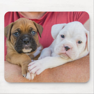 Boxer Puppies Mouse Mat