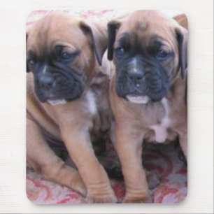 Boxer puppies mousepad