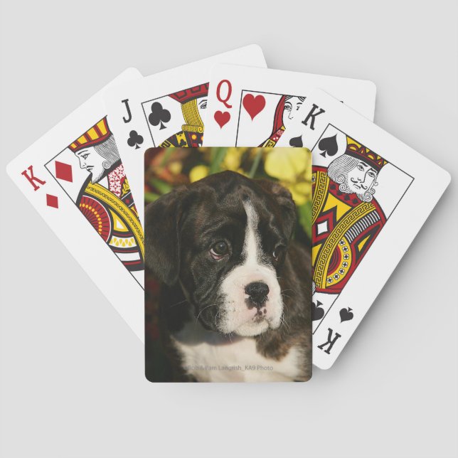 Boxer Puppies Playing Cards (Back)