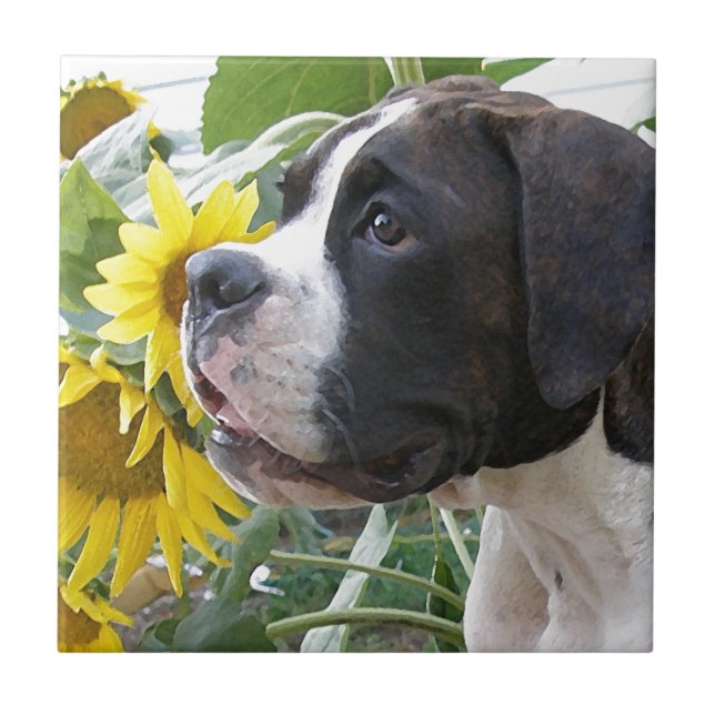Boxer Puppy and Sunflowers Tile (Front)