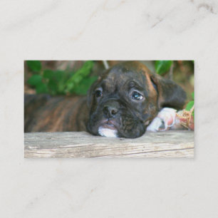 Boxer puppy business cards
