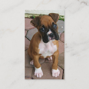 Boxer puppy business cards