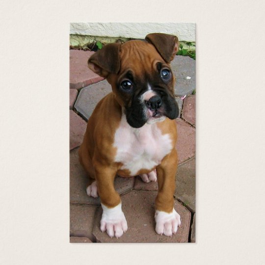 Boxer puppy business cards