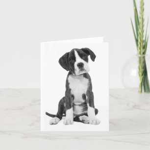Boxer Puppy Dog Blank Note Card