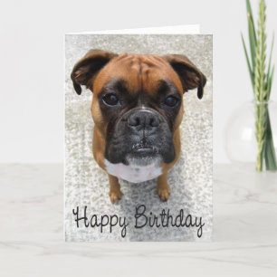 Boxer Puppy Dog  Happy Birthday Card  - Verse