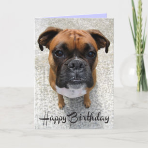 Boxer Puppy Dog  Happy Birthday Card  - Verse