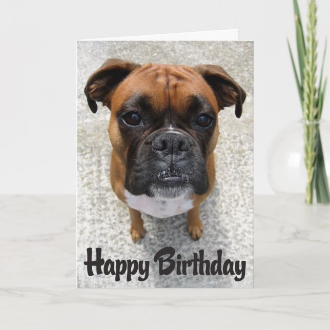Boxer Puppy Dog  Happy Birthday Card  - Verse (Front)