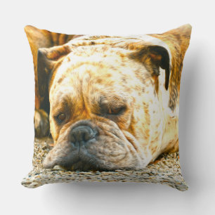 Boxer Puppy Dog Water Colour Oil Paint Art Cushion