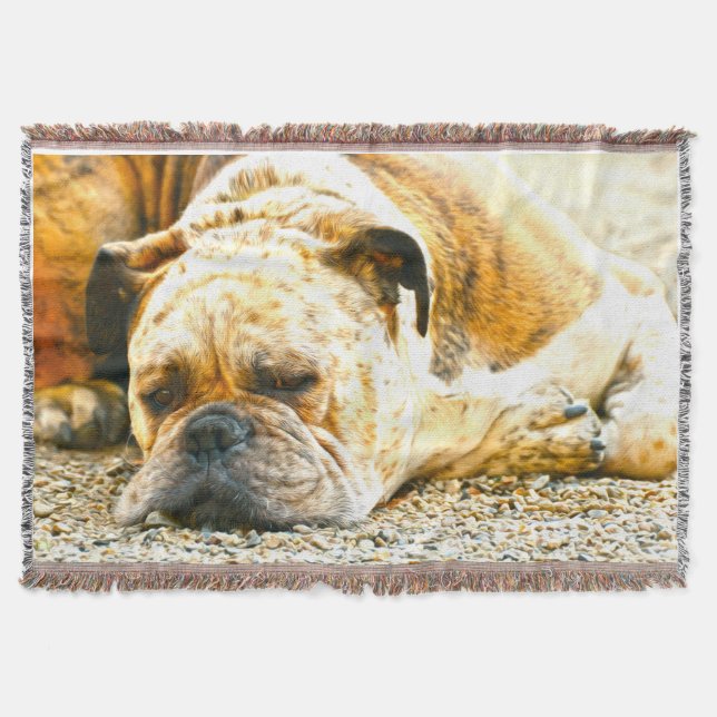 Boxer Puppy Dog Water Colour Oil Paint Art Throw Blanket (Front)