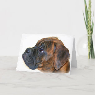 Boxer  puppy greeting card