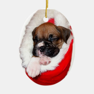 Boxer puppy in Christmas Stocking ornament