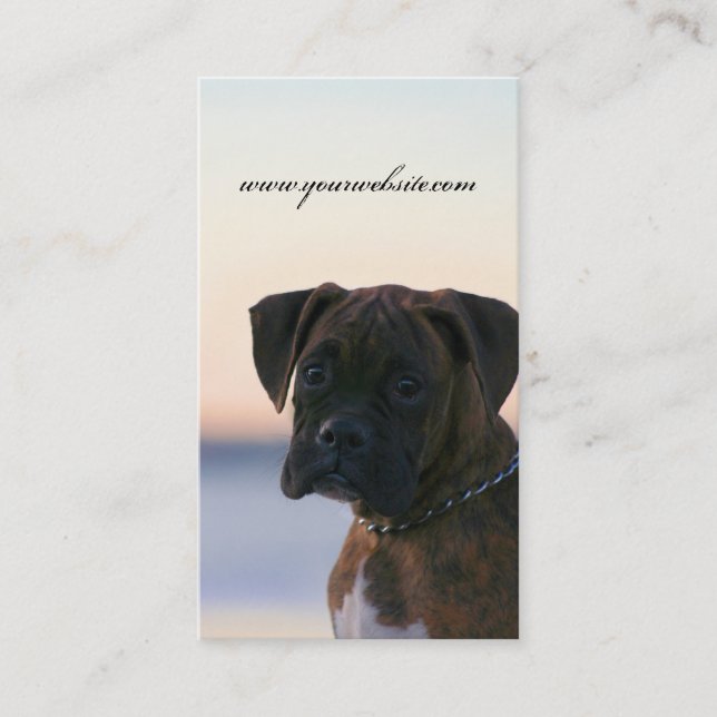 Boxer puppy in evening sky business cards (Front)