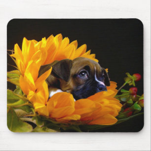 Boxer puppy in Sunflower mousepad
