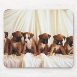 boxer puppy mouse pad