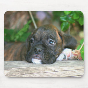 Boxer puppy mousepad