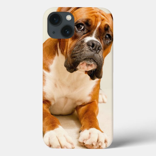 Boxer puppy on ivory cream backdrop. Case-Mate iPhone case (Back)