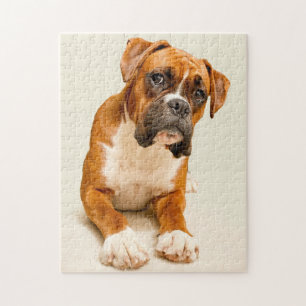 Boxer puppy on ivory cream backdrop. jigsaw puzzle