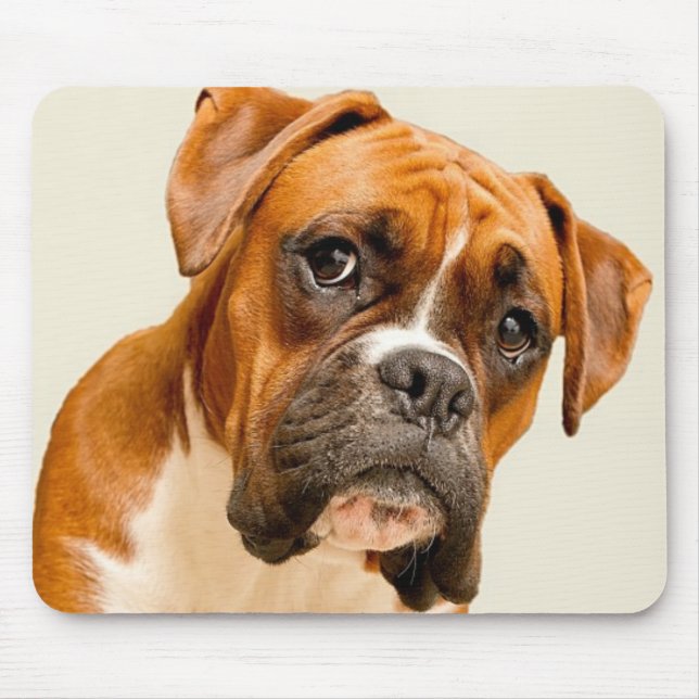 Boxer puppy on ivory cream backdrop. mouse mat (Front)