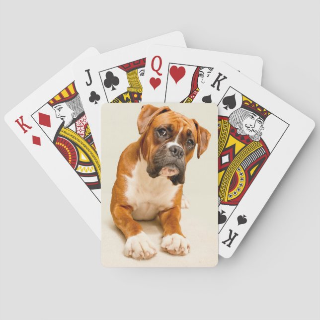 Boxer puppy on ivory cream backdrop. playing cards (Back)