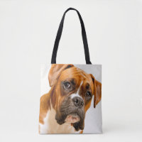 Boxer puppy on ivory cream backdrop.