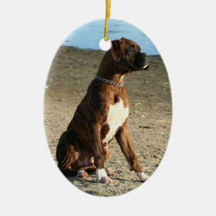 Boxer puppy oval ornament