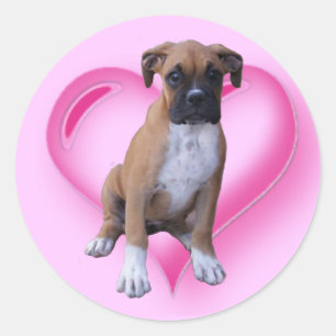 Boxer puppy sticker