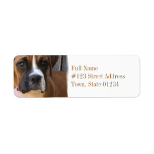Boxer Rescue Return Address Label