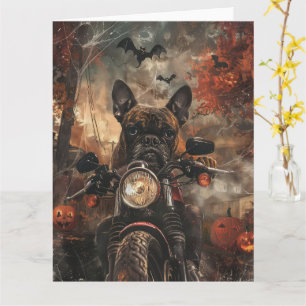 Boxer Riding Motorcycle Halloween Scary Card
