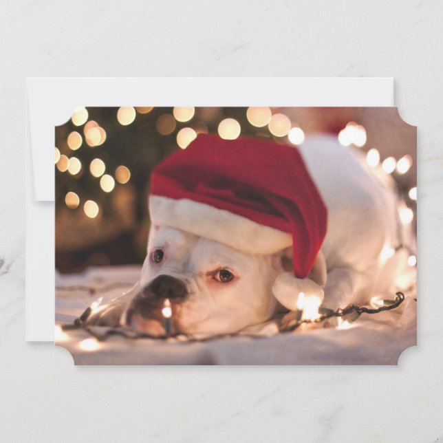 Boxer Santa Holiday Card (Front)