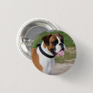 Boxer Sitting 3 Cm Round Badge