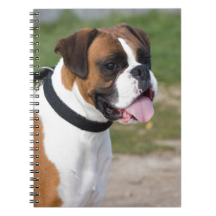 Boxer Sitting Notebook