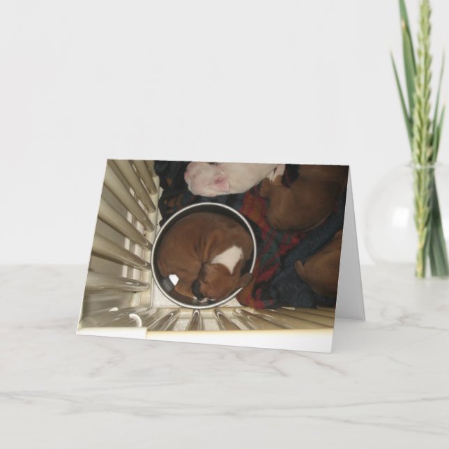 Boxer Sleeping in Food Bowl Birthday Card (Front)