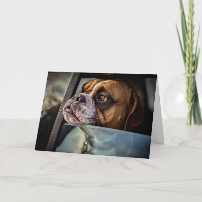 Boxer Smells a BBQ card (Front)