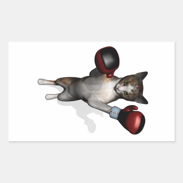 Boxer Tabby Rectangular Sticker (Front)
