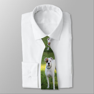 Boxer Tie