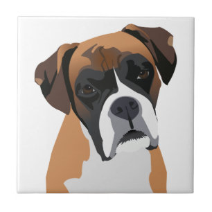 Boxer Tile