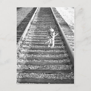 Boxer travelling greeting card