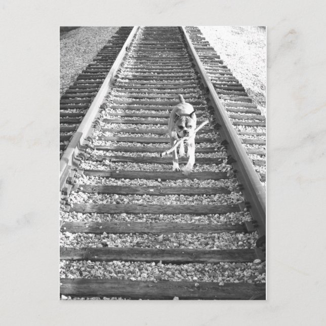 Boxer travelling greeting card (Front)